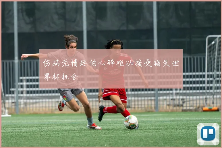 伤病无情廷伯心碎难以接受错失世界杯机会
