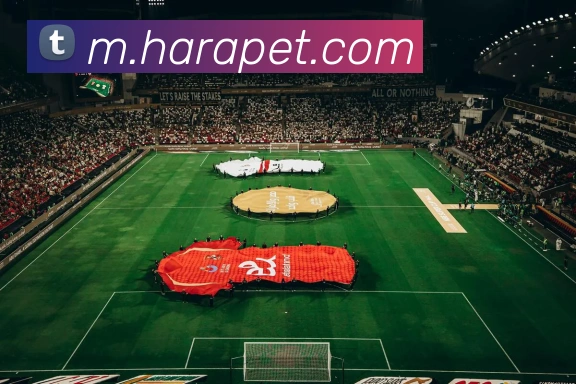 App 展示图